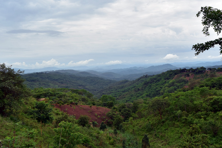 Mzuzu-Nkhata Bay road