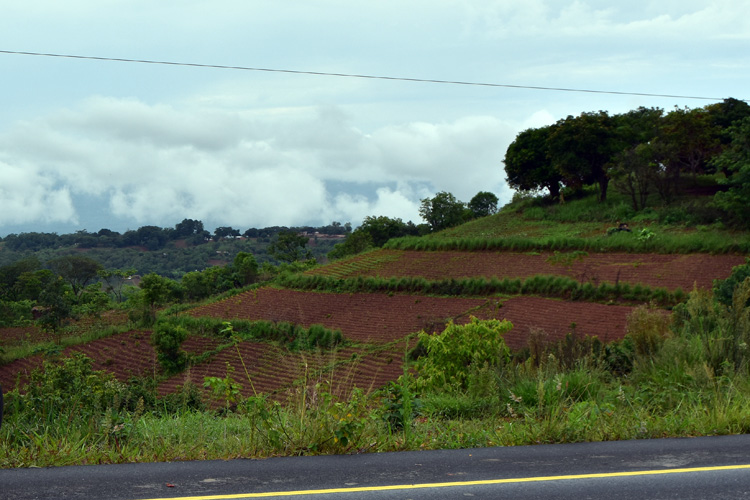 Mzuzu-Nkhata Bay road