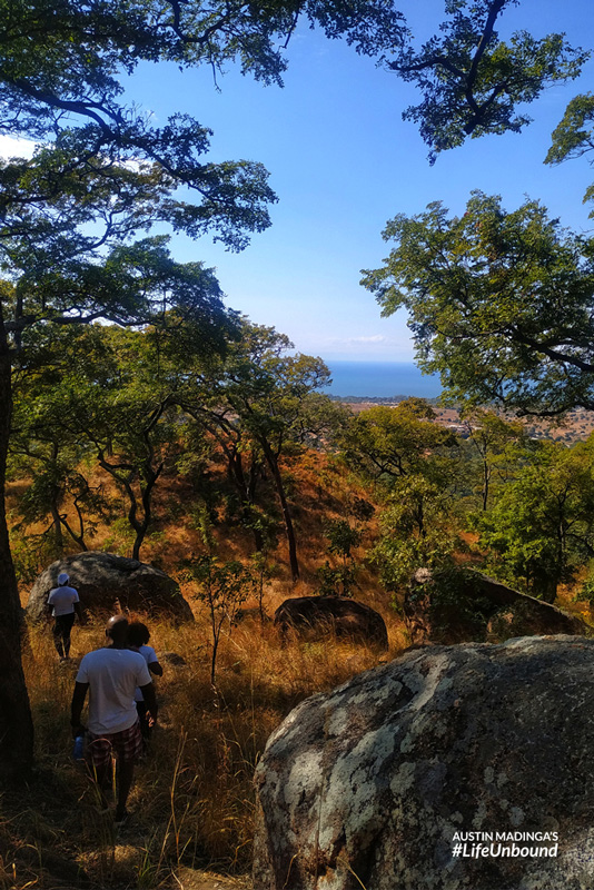 Lake Malawi peaking through the tree cover