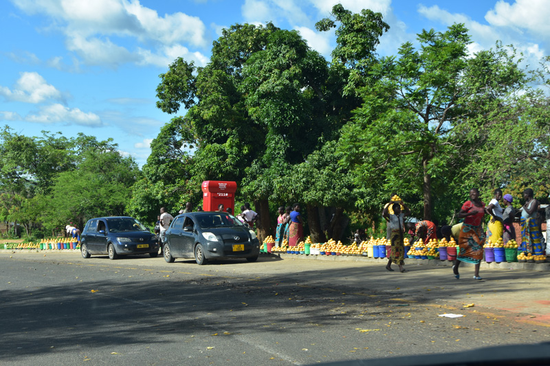 mango sellers at Mganja