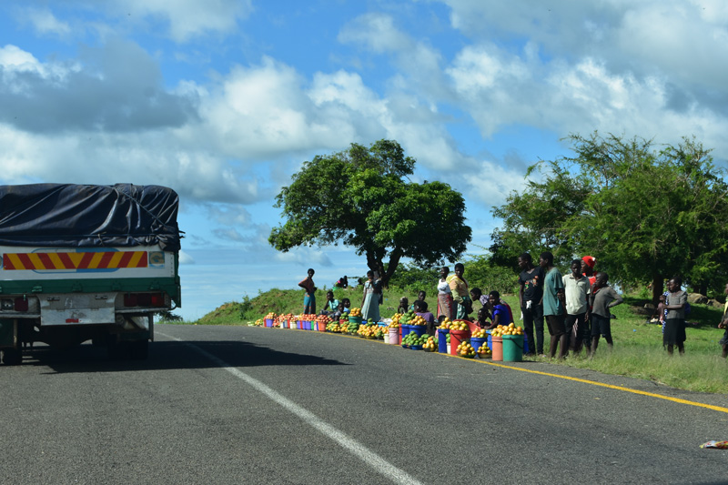 mango sellers along the Masasa - Golomoti road