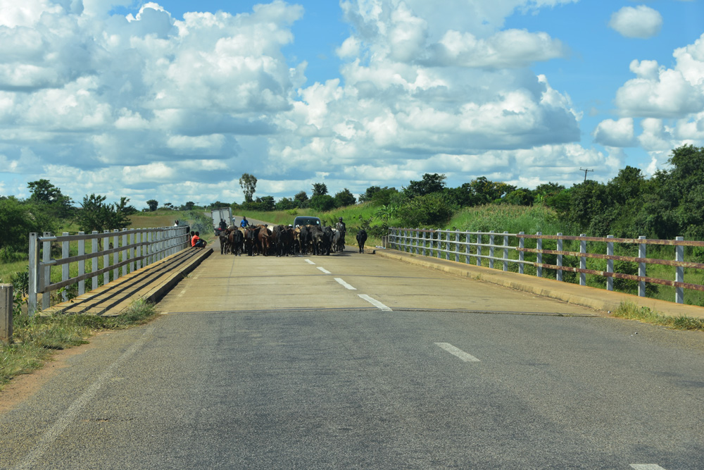Caution: road block ahead!