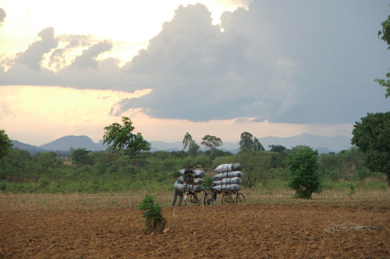 charcoal traders carry bags on their bikes in malawi. Charcoal production is a major contributor to environmental degradation.