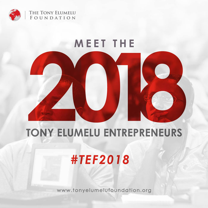 Tony Elumelu Entrepreneurship Programme