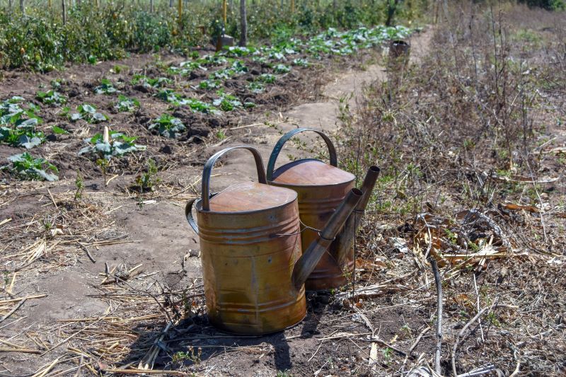 17 watering cans