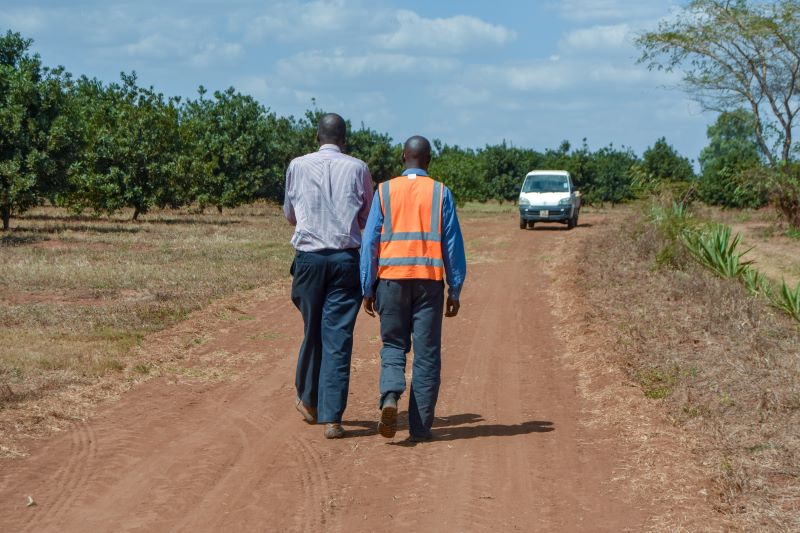 Gala Kalokwe macademia estate