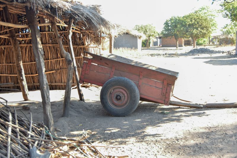 an ox cart in the village