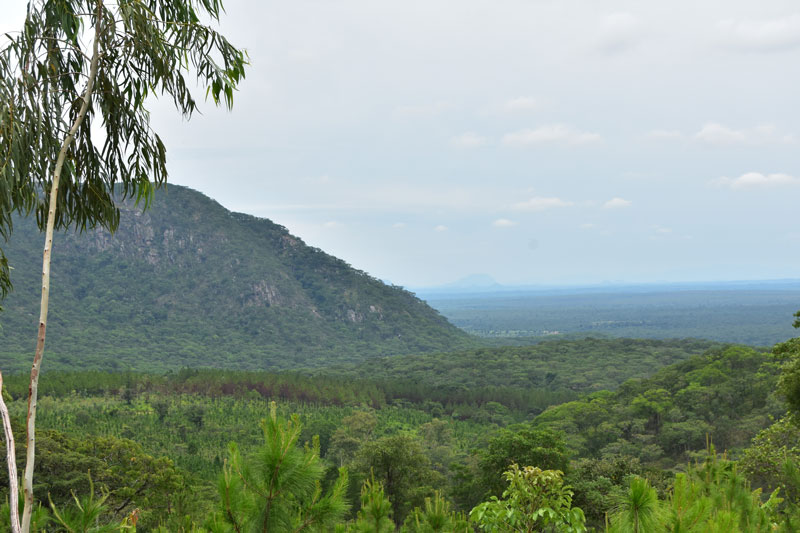 Views across Dzalanyama reserve into mozambique